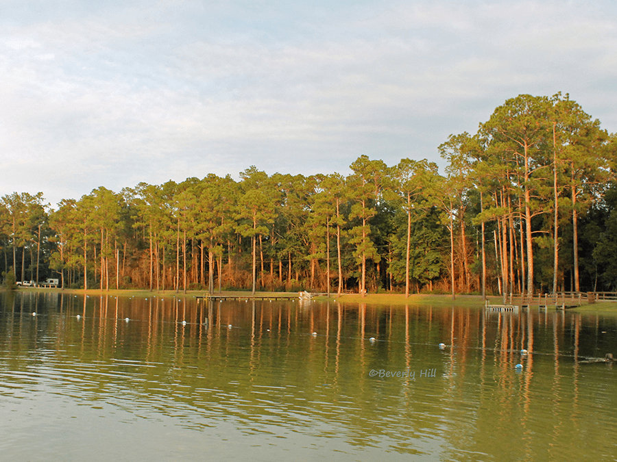 blackwater-river-state - Navarre Beach | Florida's Panhandle